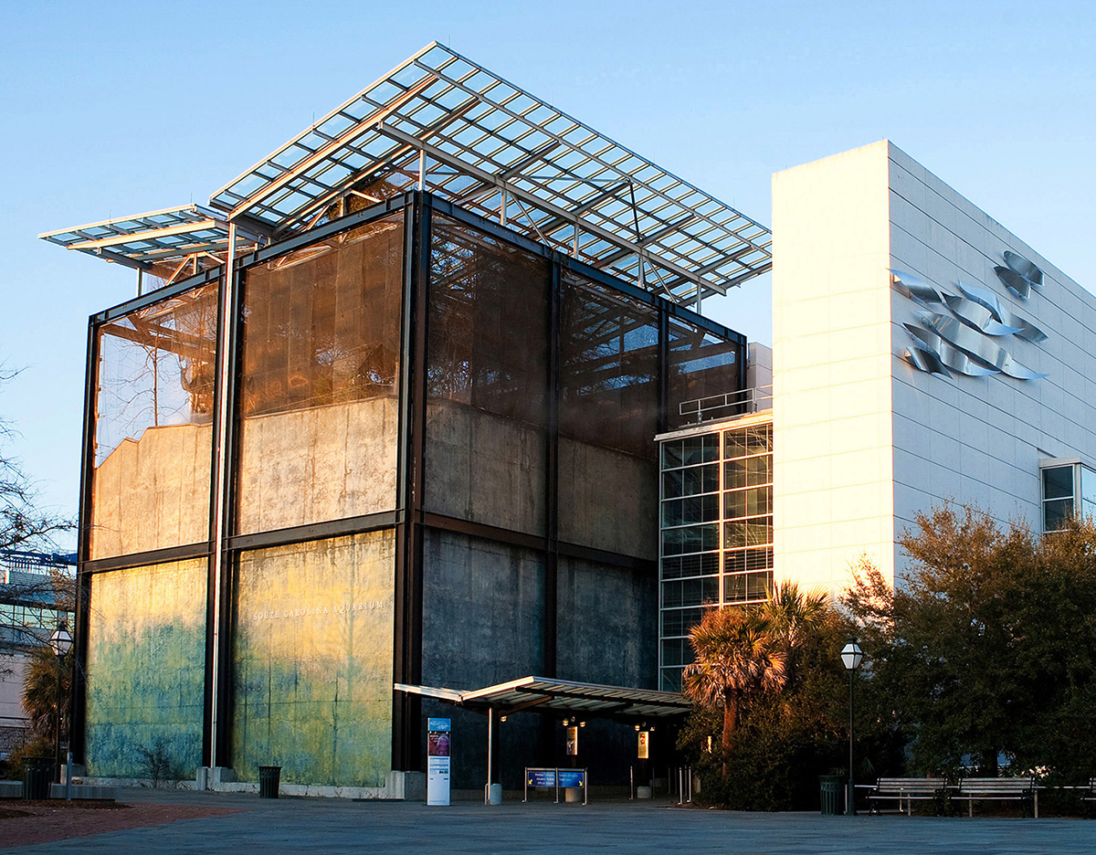 What to do Jan. 22-29