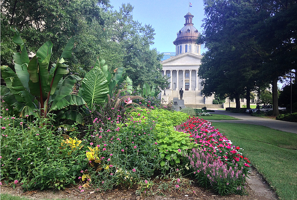 SHR 25.17: From abortion and Viagra